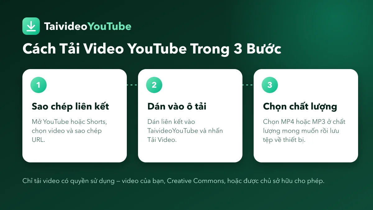 Ba bước tải video YouTube về điện thoại hoặc máy tính với TaivideoYouTube